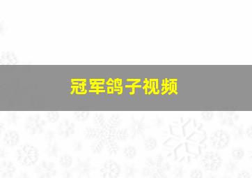 冠军鸽子视频