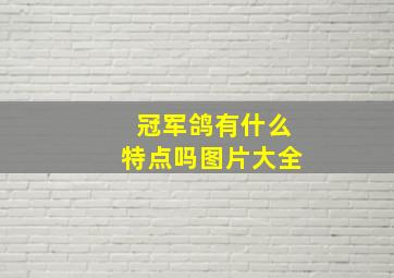 冠军鸽有什么特点吗图片大全