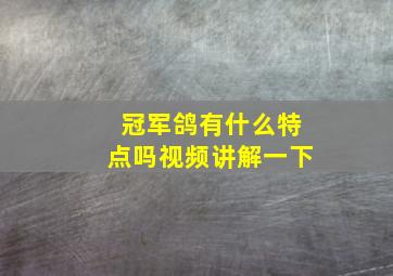 冠军鸽有什么特点吗视频讲解一下