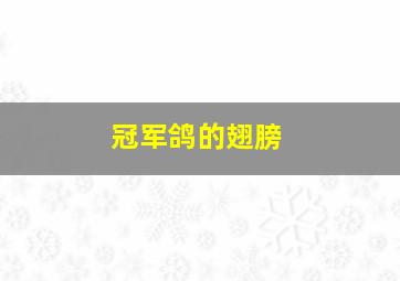 冠军鸽的翅膀