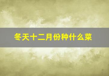 冬天十二月份种什么菜