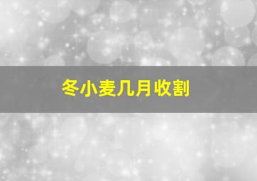 冬小麦几月收割