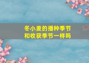 冬小麦的播种季节和收获季节一样吗