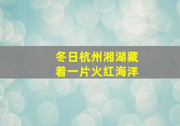 冬日杭州湘湖藏着一片火红海洋