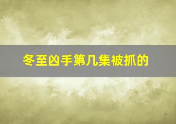 冬至凶手第几集被抓的