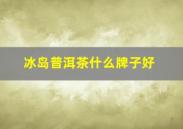 冰岛普洱茶什么牌子好