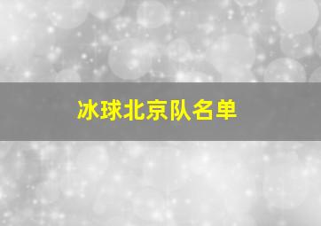 冰球北京队名单