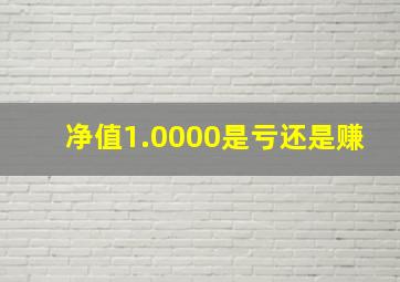 净值1.0000是亏还是赚