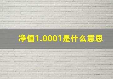 净值1.0001是什么意思