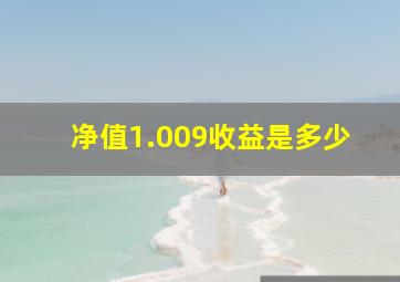 净值1.009收益是多少