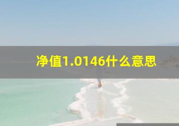 净值1.0146什么意思