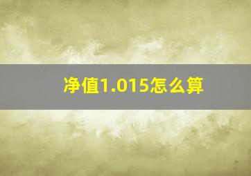 净值1.015怎么算