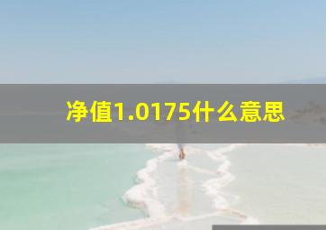 净值1.0175什么意思