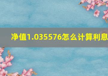 净值1.035576怎么计算利息