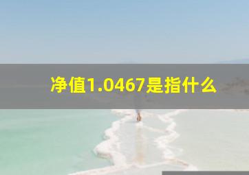 净值1.0467是指什么