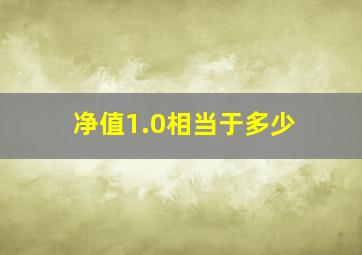 净值1.0相当于多少