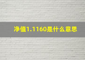 净值1.1160是什么意思