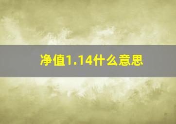 净值1.14什么意思