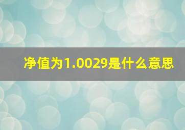 净值为1.0029是什么意思