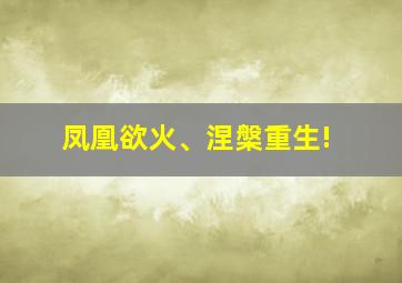 凤凰欲火、涅槃重生!