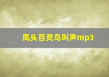 凤头百灵鸟叫声mp3