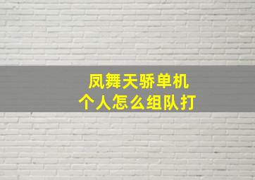 凤舞天骄单机个人怎么组队打