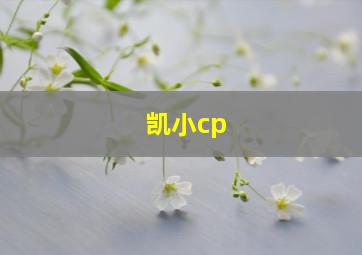 凯小cp