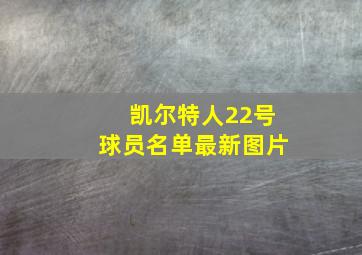 凯尔特人22号球员名单最新图片