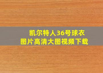 凯尔特人36号球衣图片高清大图视频下载