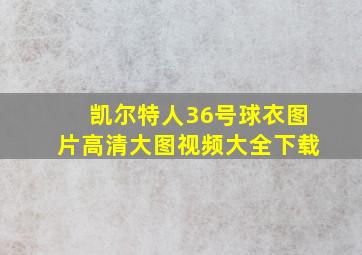 凯尔特人36号球衣图片高清大图视频大全下载