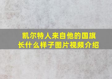 凯尔特人来自他的国旗长什么样子图片视频介绍