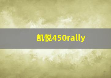 凯悦450rally