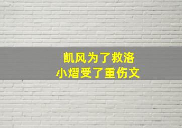 凯风为了救洛小熠受了重伤文