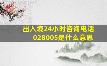 出入境24小时咨询电话028005是什么意思