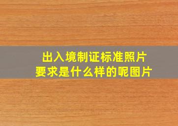 出入境制证标准照片要求是什么样的呢图片