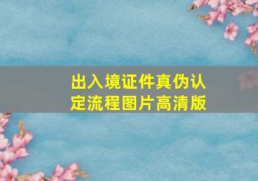 出入境证件真伪认定流程图片高清版