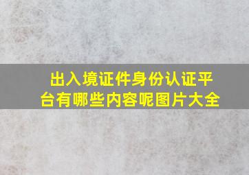 出入境证件身份认证平台有哪些内容呢图片大全