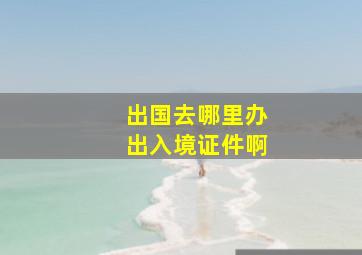 出国去哪里办出入境证件啊