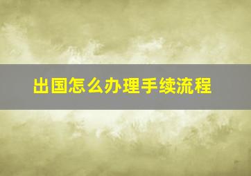 出国怎么办理手续流程