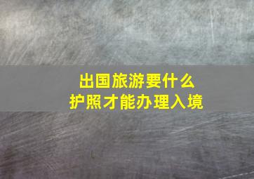 出国旅游要什么护照才能办理入境