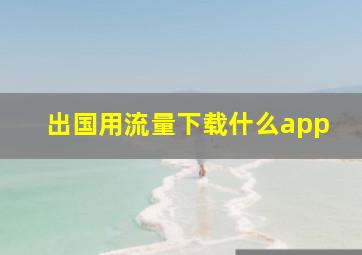 出国用流量下载什么app