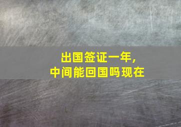 出国签证一年,中间能回国吗现在