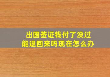 出国签证钱付了没过能退回来吗现在怎么办