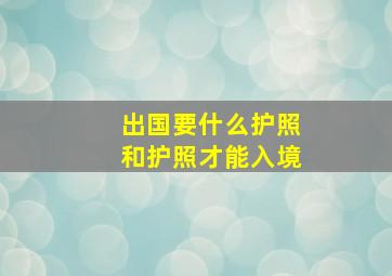 出国要什么护照和护照才能入境