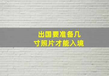 出国要准备几寸照片才能入境