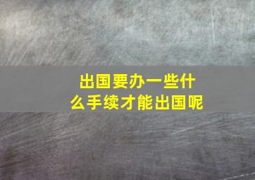 出国要办一些什么手续才能出国呢