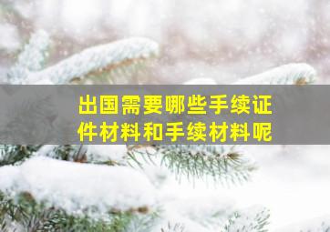 出国需要哪些手续证件材料和手续材料呢