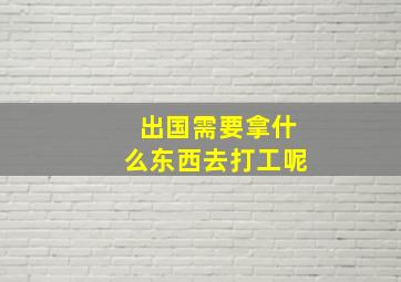 出国需要拿什么东西去打工呢