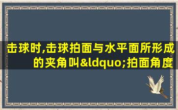 击球时,击球拍面与水平面所形成的夹角叫“拍面角度”