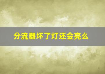 分流器坏了灯还会亮么